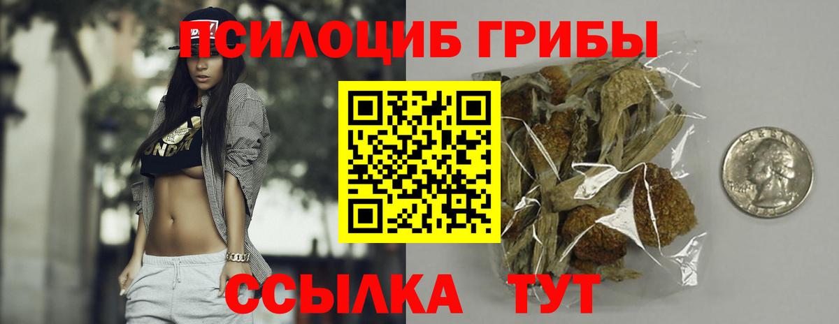 купить наркоту  Псилоцибиновые грибы прущие грибы  Галлюциногенные грибы ЛСД  Вход с VPN  Петрозаводск 